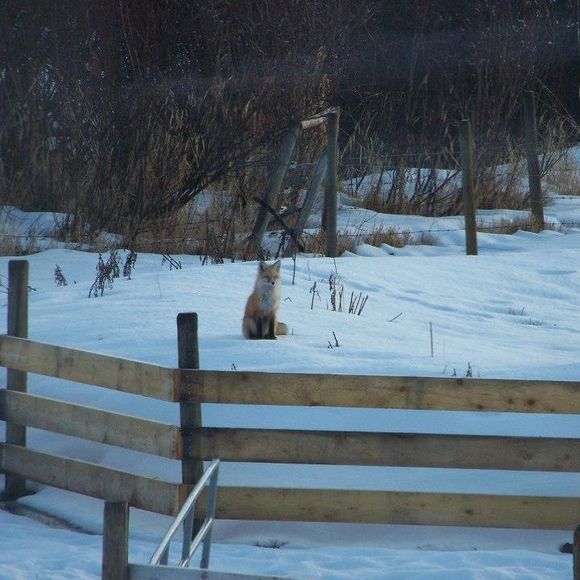 Meet your Posher, Vicki - Picture 1 of 1